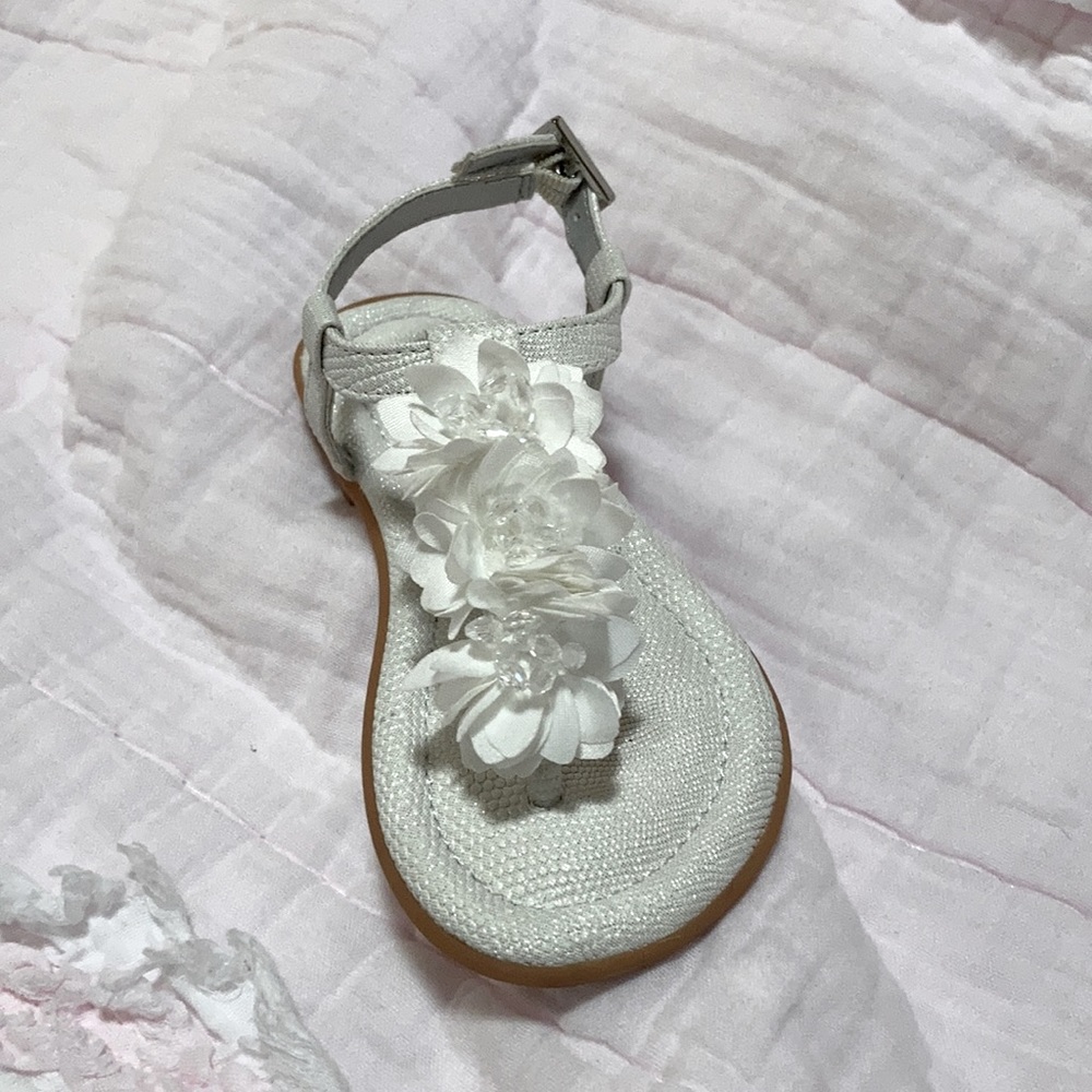Size 9 Giant Bini